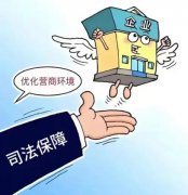 民企因一起执行异议案判
