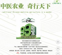 “乙峰99植宝”玉米种植实验启动  范圪垯村探索农业增效新路径
