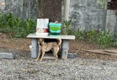 山西长治:邻里纠纷致严重后果,当地调查还原案件细节