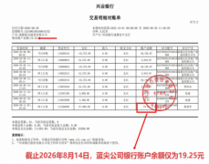 上海蓝城置业有限公司:投19.25元如何撬动10多亿项目的传奇故事